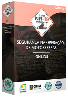 Curso Profissional NR-12