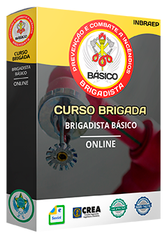 Curso Brigadista Básico