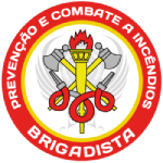 Logo NR-10